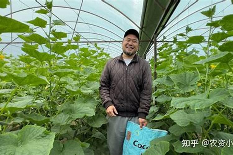 水溶肥上多了有哪些影响