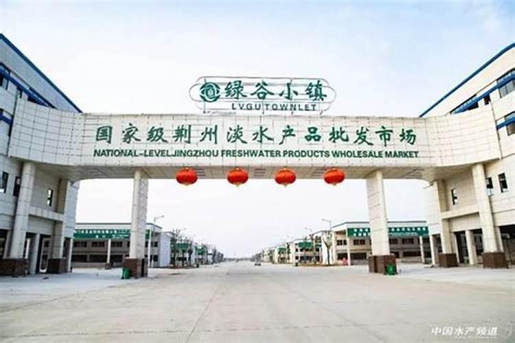 旭牧通肥乐丁怎么样