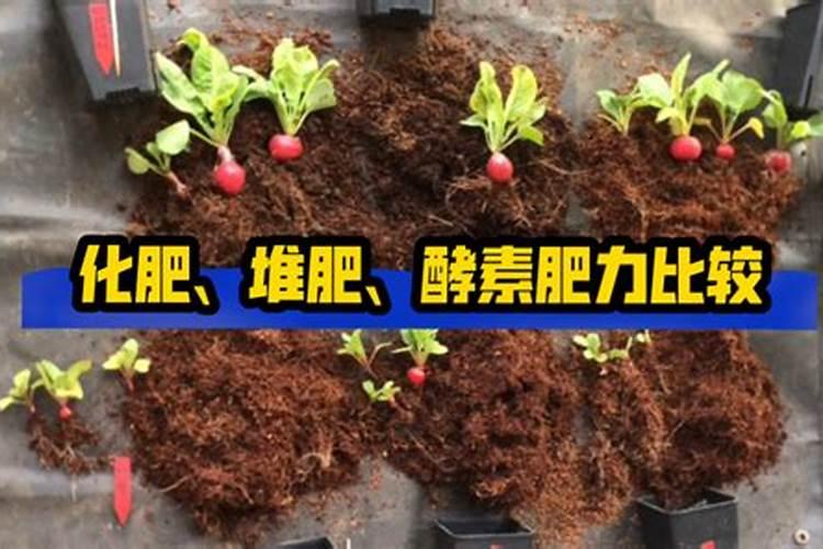 蚯蚓有什么功效用途