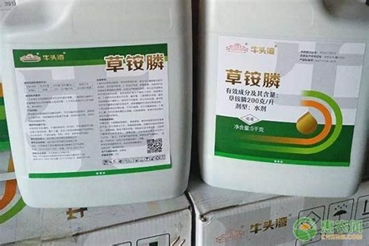 常用的花肥有哪些？