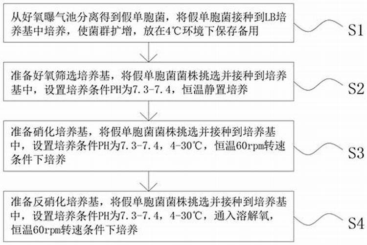 氮肥如何被植物吸收的？