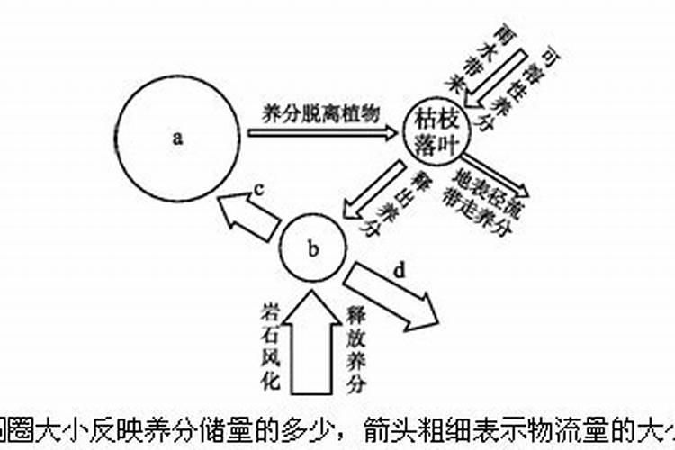 如何改善土壤贫瘠