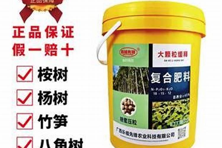 桉树幼苗抽新芽喷什么有用
