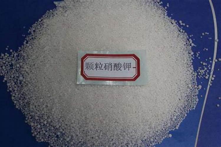 种的白菜上什么肥料最好？