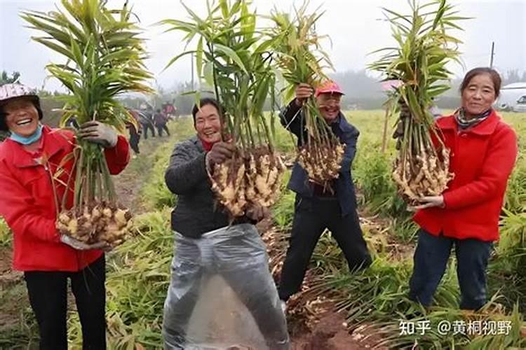 氮磷钾肥的施肥量计算方法