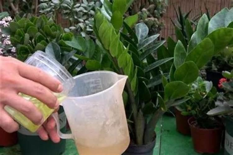 氧乐果不能混用的药