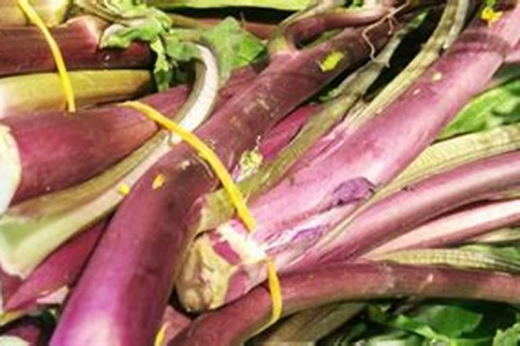 红菜苔叶子很大要不要摘掉？