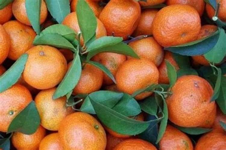 磷肥施用过量时会引发哪些症状？