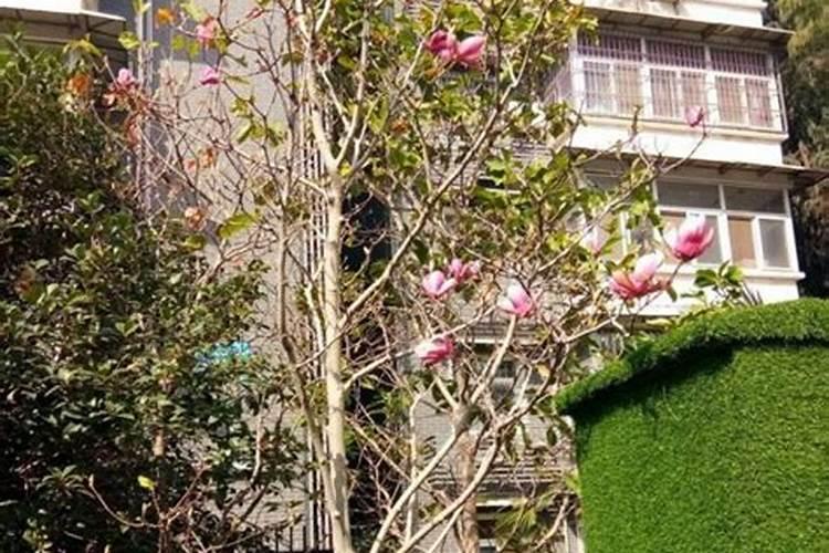 果树花期过后,需不需要在进行追肥了？