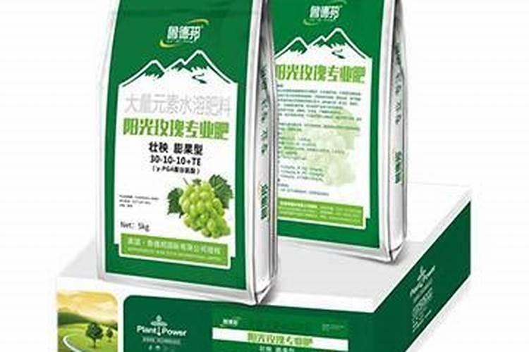 西瓜膨果期用什么肥料