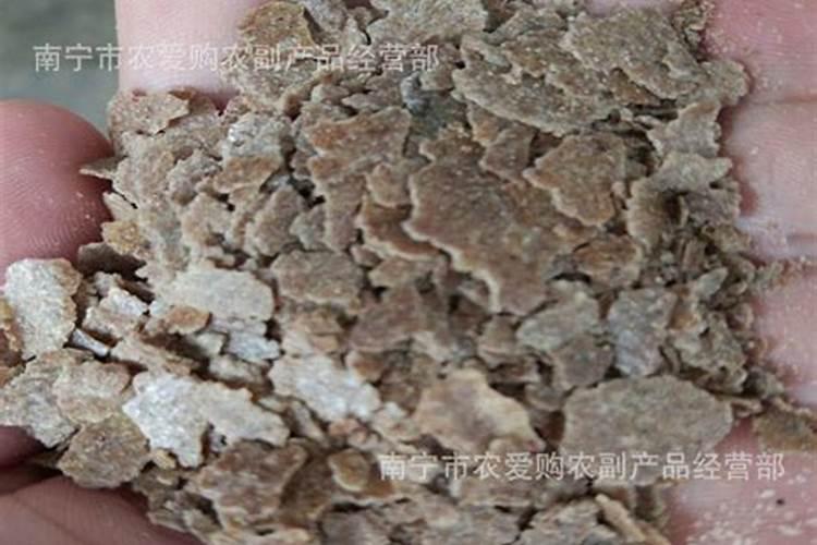 花生麸喂鱼怎样？