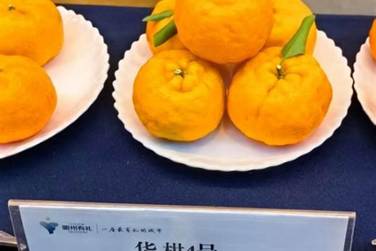 柑橘专用叶面肥 果树叶面肥哪家好 柑橘用什么叶面肥效果好