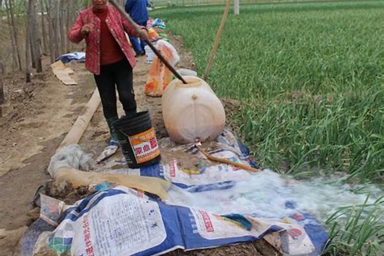韭菜大棚什么时候浇地合适