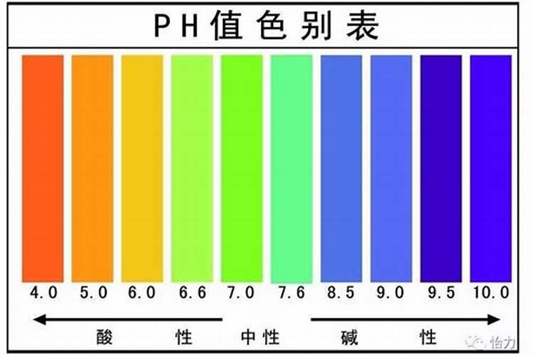 鱼豆腐属于酸性还是碱性？