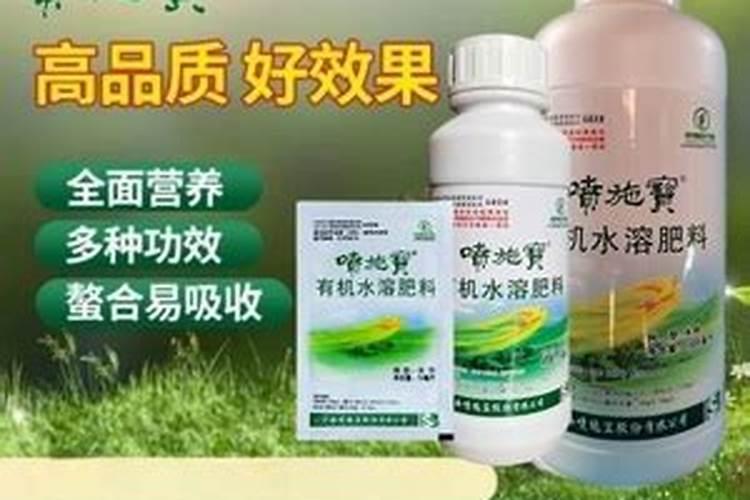 三个半月的小猫得了猫癣,现在用艾威宝每四天洗一次,黄金点一个礼拜百...