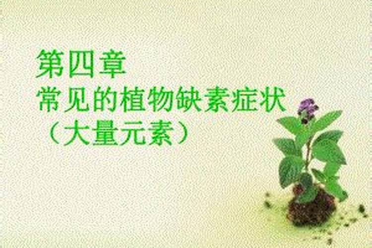 生物缺少某些元素对应的症状有那些？ 我很急 希望明天中午就可以看到答案...