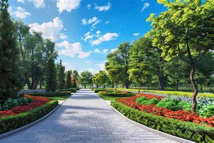 君子兰彩兰小苗怎么养？