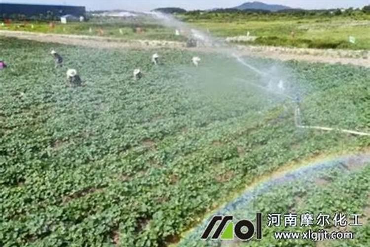 红薯追肥用什么肥料好
