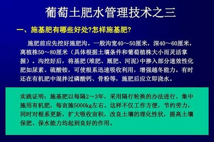 葡萄采果后的水肥管理技巧介绍