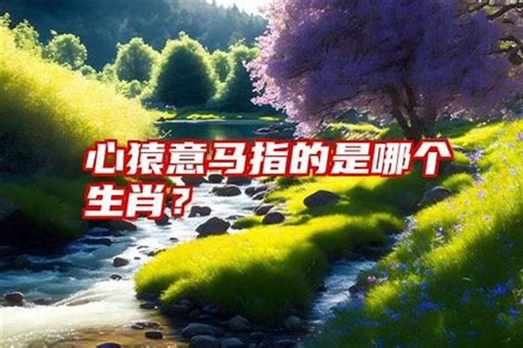 水溶肥是什么肥料 水溶性肥料的优缺点有哪些