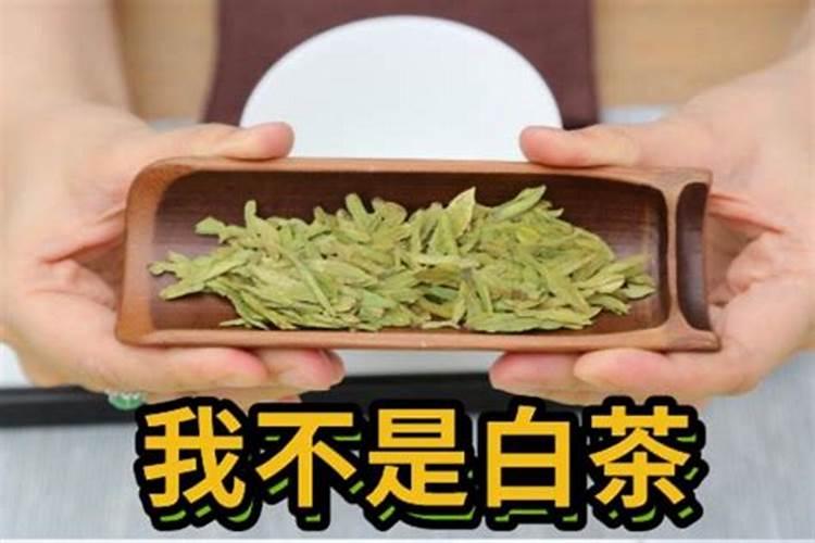 安吉白茶春茶什么时间开采？