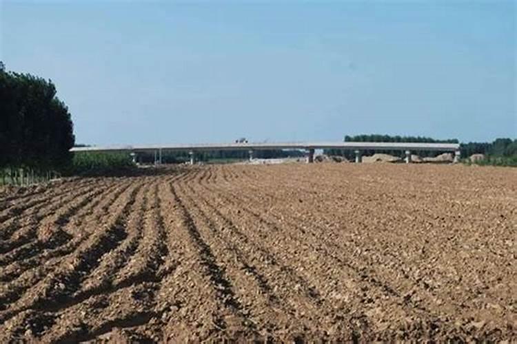 玉米大喇叭口期施什么化肥最好