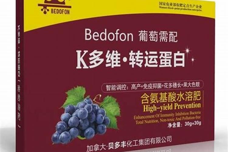 盆栽小番茄要多久结果