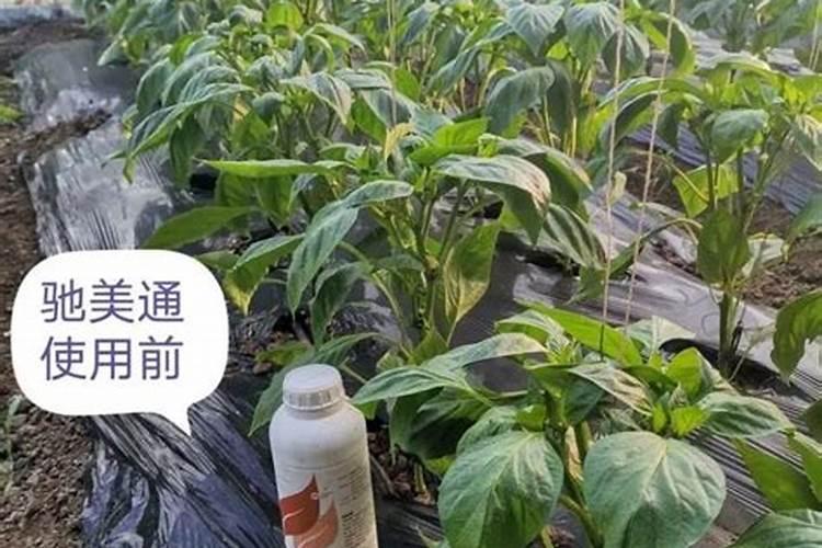 稀土叶面肥可以和水溶肥混用吗