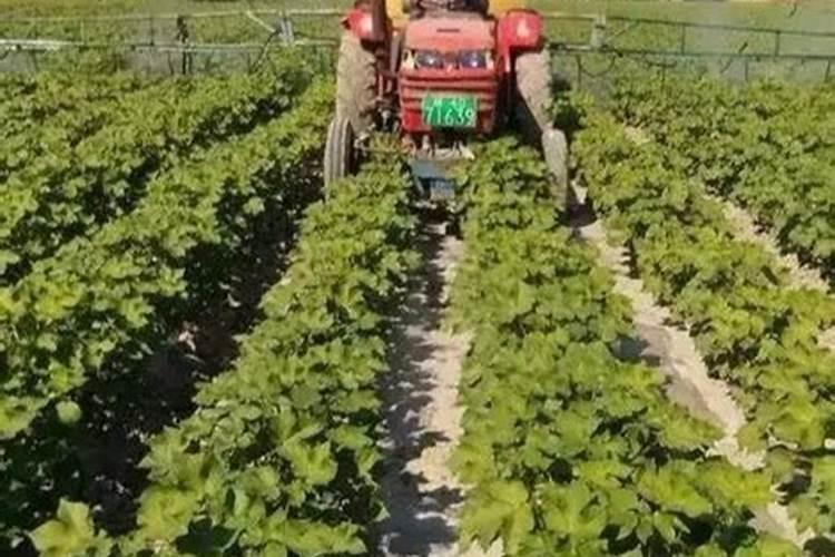 六国化工“芯五功”绿色增值肥料正式发布