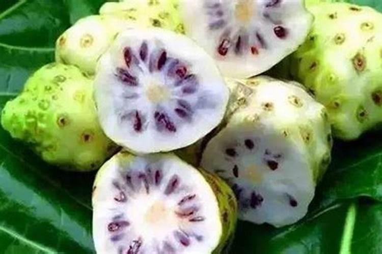 关于水果的资料
