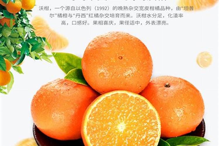 柑橘树施用基肥的方式有什么？