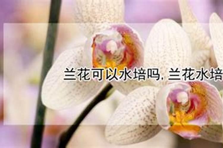 磷酸二氢钾正确施肥方法