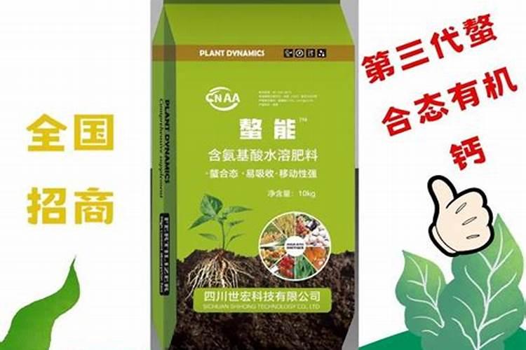 甘氨酸用途