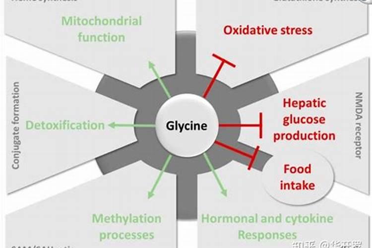 甘氨酸结构式怎么写？