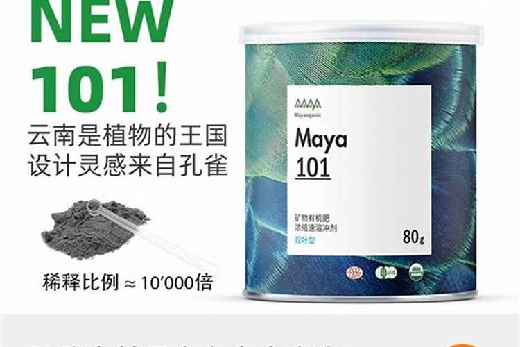 玛雅文名是如何消失的。