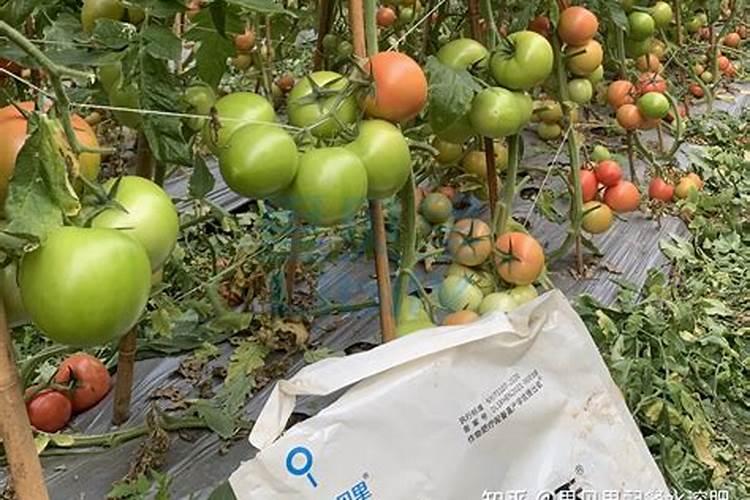 水溶肥比复合肥效果好吗？哪个牌子的水溶肥比较好用？