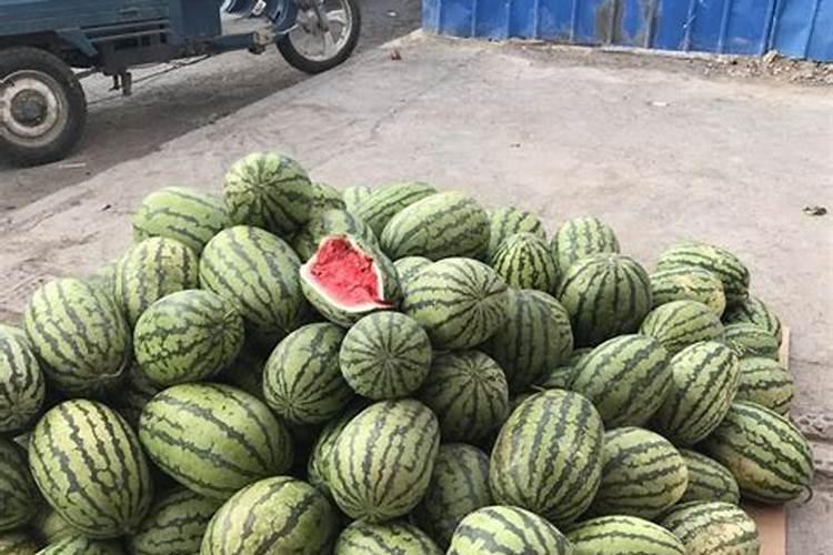 柚子树用什么肥料最好