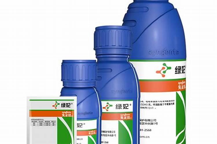 请教专家,芸豆这是什么病？怎么治