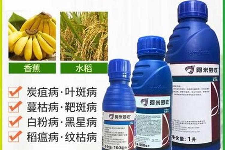 请教专家,芸豆这是什么病？怎么治