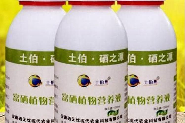 辣椒什么时候施肥好 辣椒的最佳施肥时间