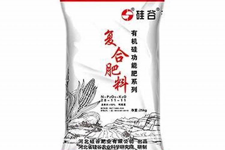 生姜什么时候种植最合适