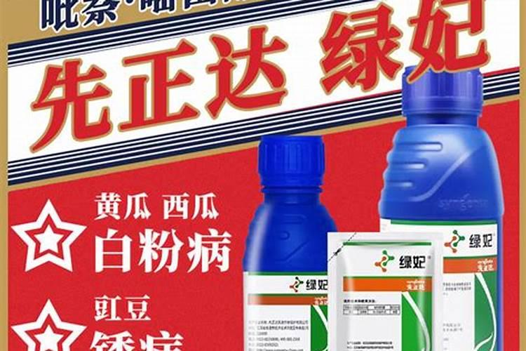 灰霉病白粉病用什么农药效果最好