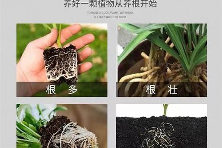 房间很臭有异味去除不了怎么办