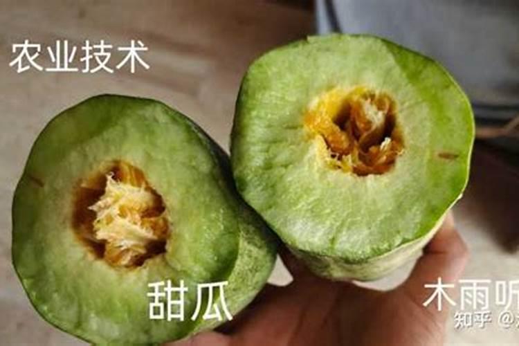 甜瓜增甜施水溶肥技巧