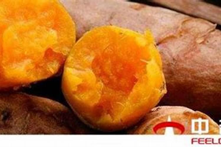 红薯最怕什么肥料