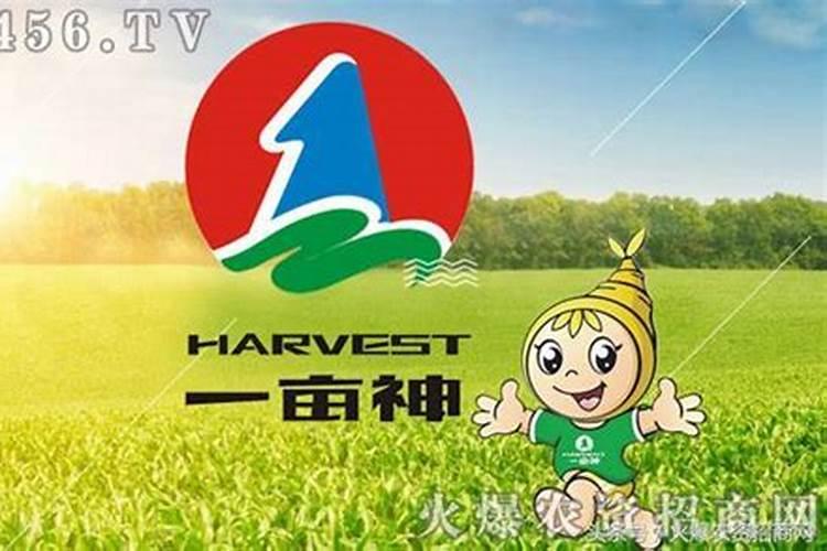 龟背竹花肥用什么合适 肥料制作与使用方法