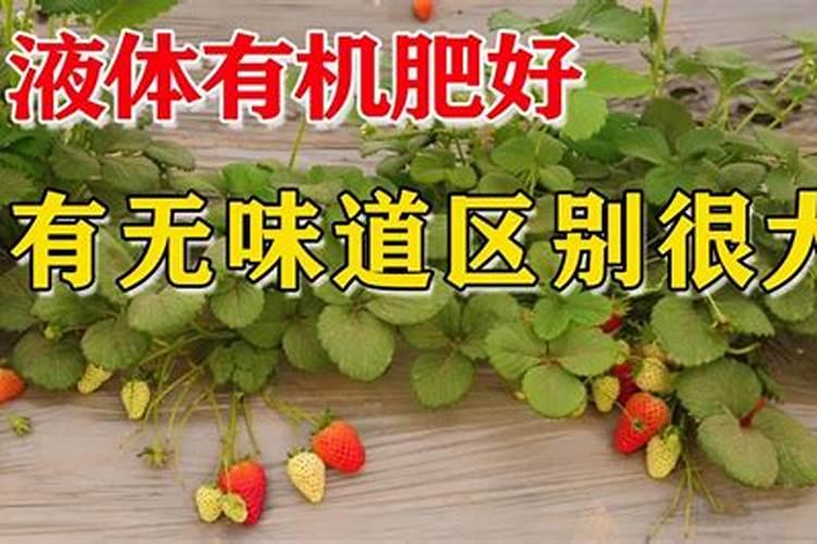 施用有机肥有哪些好处及不足？？