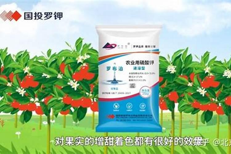 湖南十大蔬菜批发市场 湖南批发蔬菜市场在哪里 湖南蔬菜批发市场...