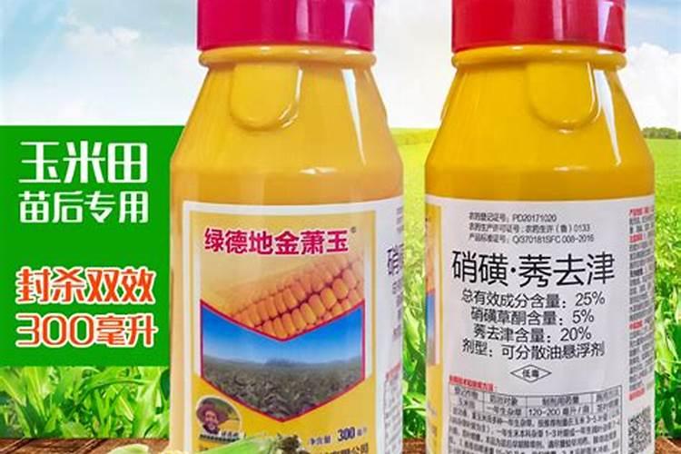 让玉米秸秆粗壮喷施什么叶面肥？