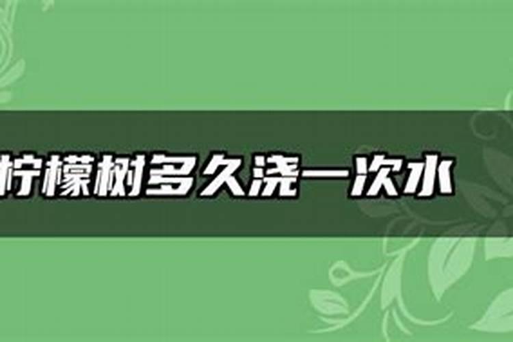 柠檬树怎么养才长得好